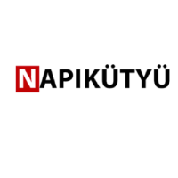 Kupon – 15% kedvemzény 2.490 Ft felett a Napikutyu.hu oldalon